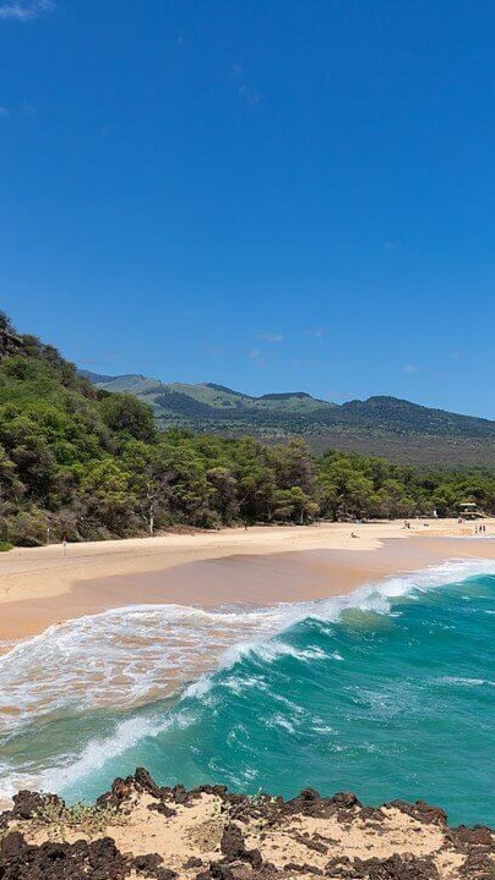 Condado de ilha devastada no Havaí processa empresa pelo incêndio