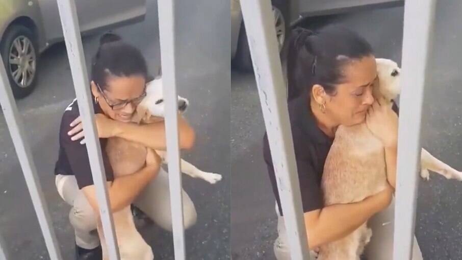 Mulher se emociona ao se reencontrar com cachorro perdido
