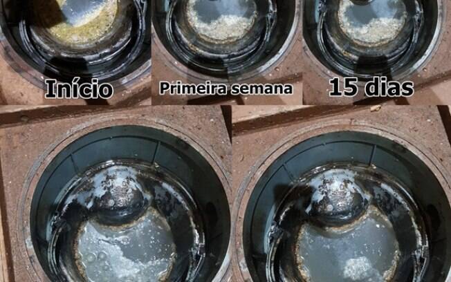 Solução sustentável: como evitar entupimentos e tratar caixas de gordura e fossas?