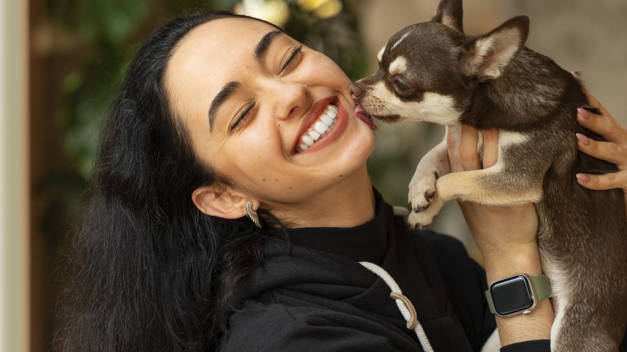 Cães têm um dono preferido? Entenda o vínculo afetivo Cães têm um dono preferido? Entenda o vínculo afetivo