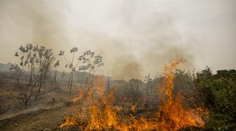 Pantanal: incêndios começaram em propriedades rurais, diz MP