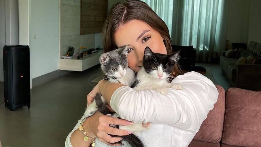 Maria Lina compartilha foto com gatas de estimação e Whindersson Nunes comenta