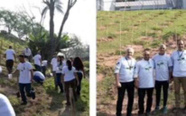 Companhia Brasileira de Cartuchos realiza o plantio de 2 mil mudas de árvores nativas