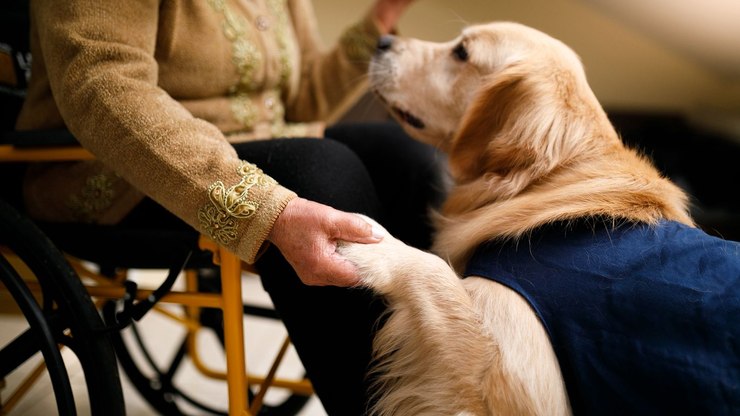 Presença de pets muda rotina em residenciais de idosos