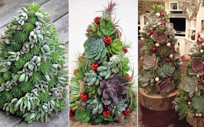 Árvores de Natal feitas com suculentas são uma boa pedida para quem busca uma decoração mais sofisticada