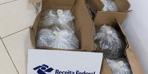 Receita Federal apreende 4 mil peixes ornamentais no Acre