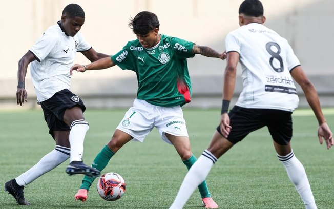 Fera do Palmeiras lança provocação e humilha o rival Fera do Palmeiras lança provocação e humilha o rival