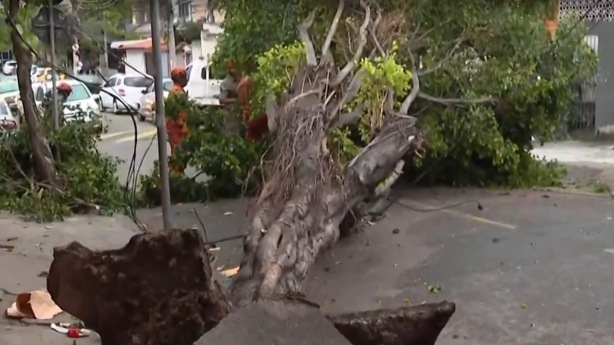 Ventania causa transtorno e deixa Rio de Janeiro em alerta Ventania causa transtorno e deixa Rio de Janeiro em alerta