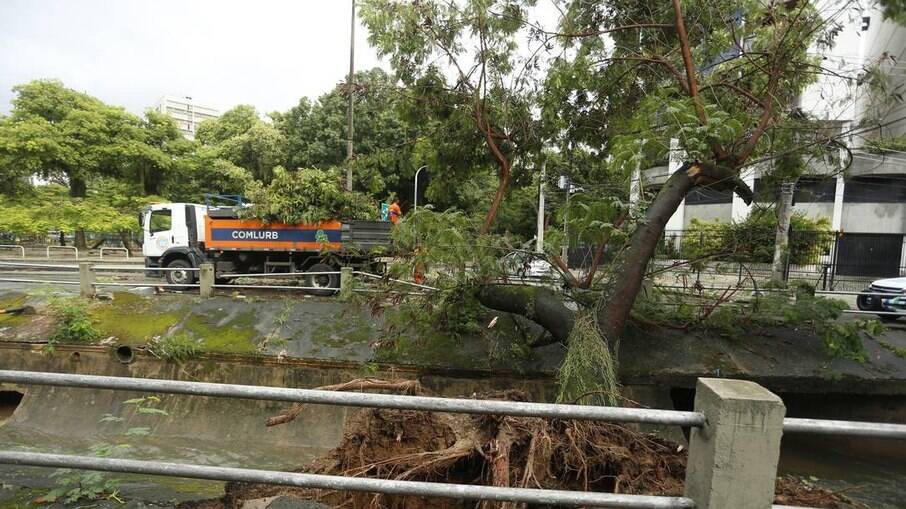 Árvore cai sobre o rio Maracanã e interdita parte da Avenida Maracanã, em frente à Praça dos Cavalinhos, na Tijuca