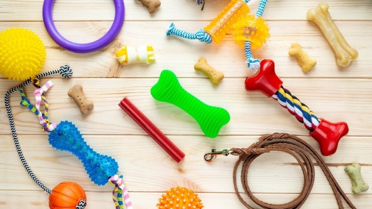 7 brinquedos perigosos para cachorro