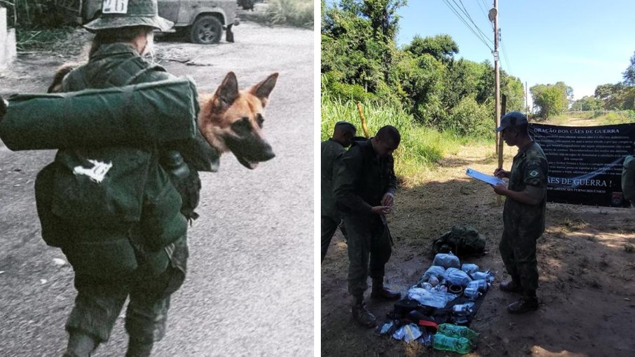 Mala pesada foi um dos desafios para a perita criminal Mala pesada foi um dos desafios para a perita criminal