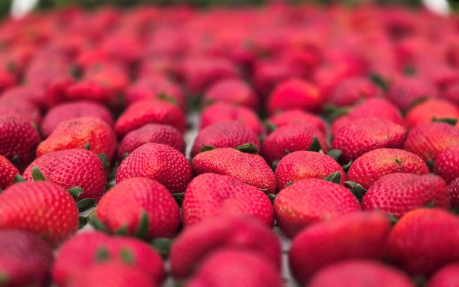 Festa de Flores e Morangos realiza 44ª edição em Atibaia