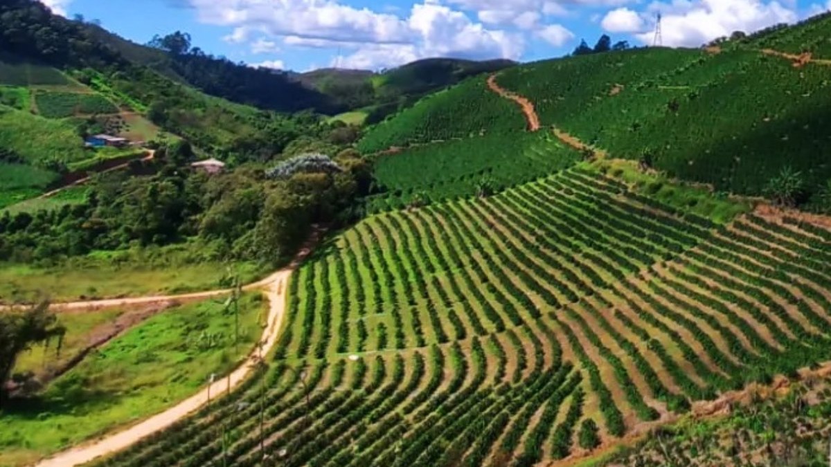 Sítio Alto Ribeiro (ES)