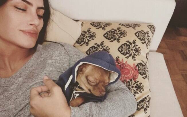 Cleo Pires e seu pequeno chiuaua usando um moletom com capuz dormindo na cama da atriz