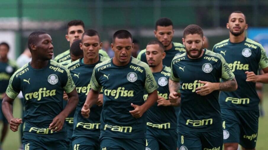  Palmeiras 