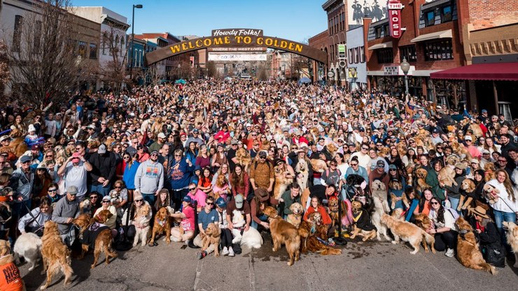 Milhares
de Golden Retrievers celebram Dia Internacional da raça