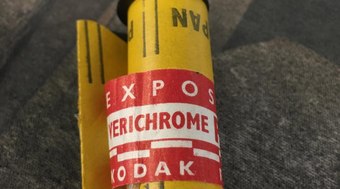 Alecrim-do-mato da Caatinga vira aposta e atrai indústria