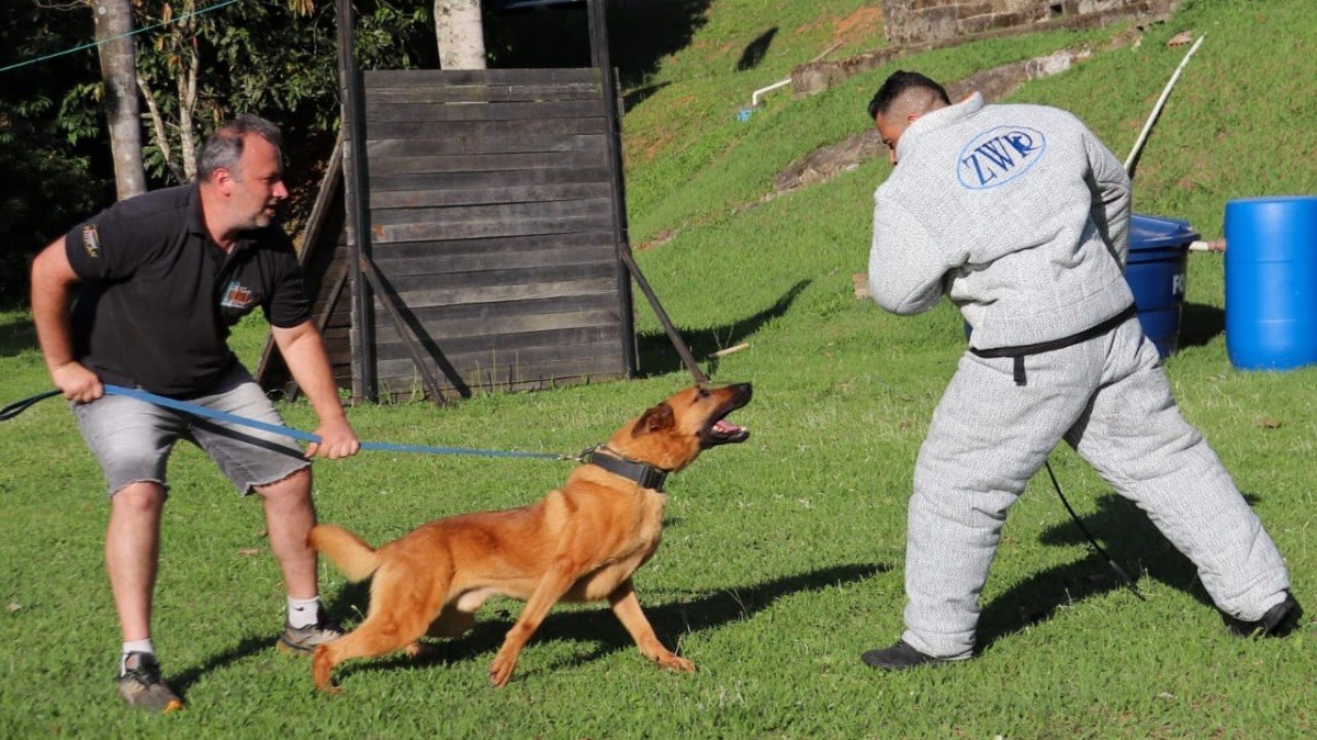 O adestrador André Almeida participa de sessão de treinamento de cães policiais