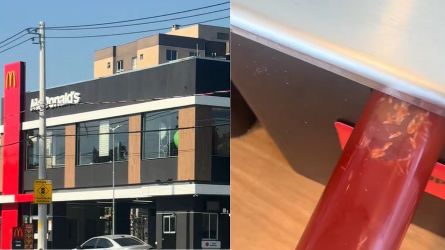 as larvas no pote de ketchup do Mc Donald's