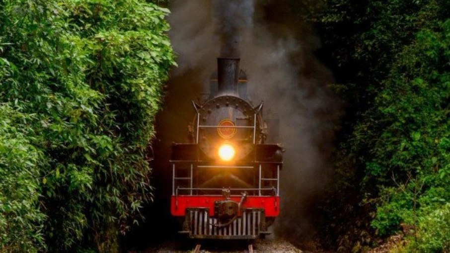 A Maria Fumaça percorre 60 km pela Serra do Mar