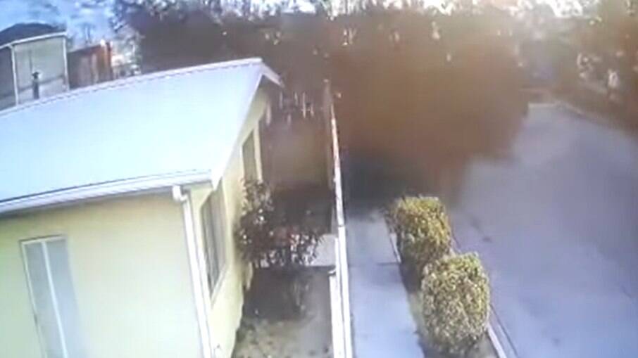 Câmera de segurança mostra centenas de aves descendo para as casas como uma nuvem de fumaça preta 