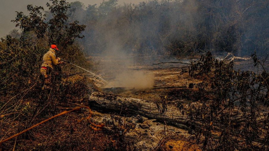 Fogo destrói parte do Pantanal