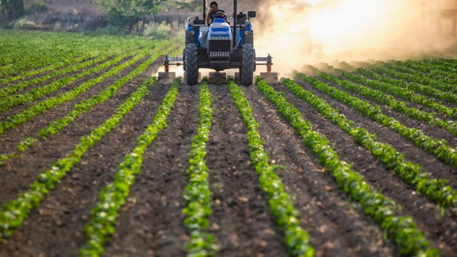 Impactos na agricultura