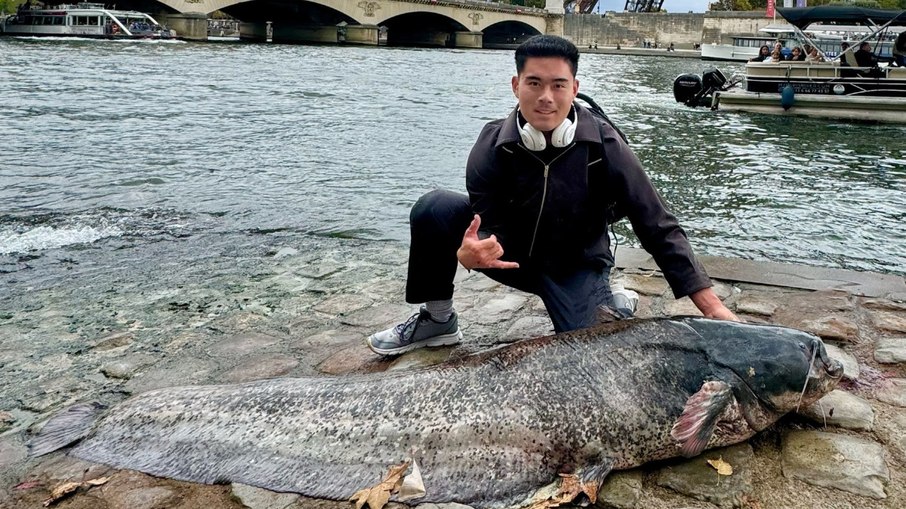 Bagre gigante foi pego no rio Sena, na capital francesa. Bagre gigante foi pego no rio Sena, na capital francesa.