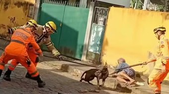 Mulher%20atacada%20por%20pitbull%20domina%20c%C3%A3o%20at%C3%A9%20chegada%20de%20ajuda%3B%20confira%20o%20v%C3%ADdeo