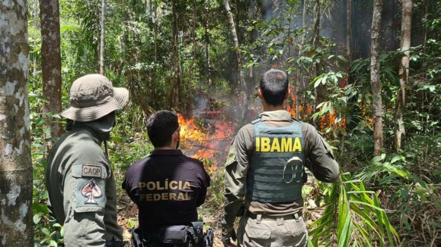 Ibama e a Polícia Federal agindo contra o garimpo ilegal