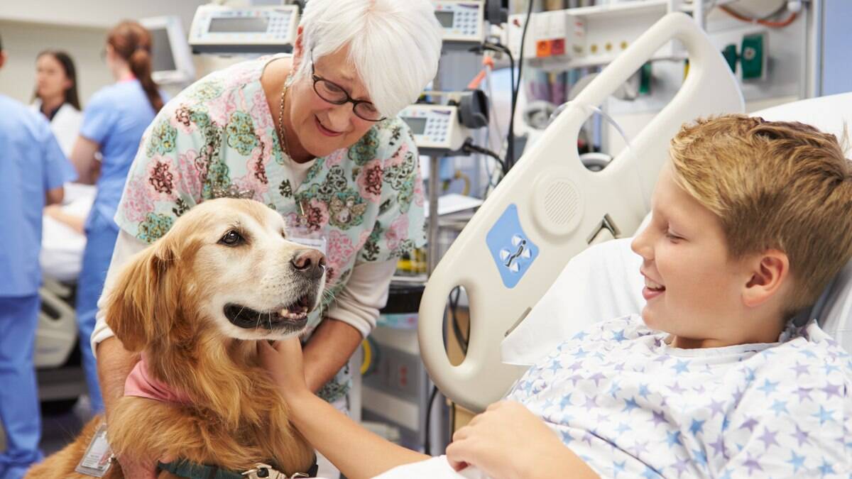 Synonym For Animal Assisted Therapy