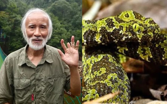 Chinês que cria cobras em casa sobrevive a
nove picadas
