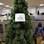 Em uma empresa de tecnologia, os funcionários fizeram uma "decoração temática" na árvore de Natal. Foto: Reprodução/Reddit