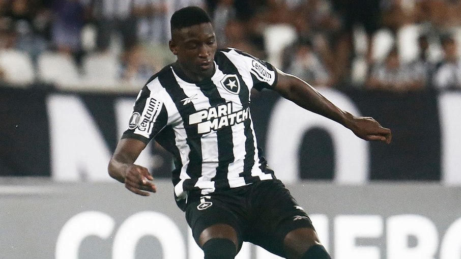 Botafogo encara a LDU em busca de reabilitação na Libertadores
