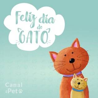 O Dia Internacional do Gato é comemorado nesta quarta-feira (8)