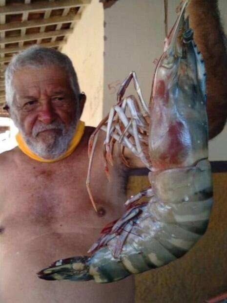 Gabriel Silva%2C de 80 anos%2C pescou o camarão de mais de 400g e 50cm