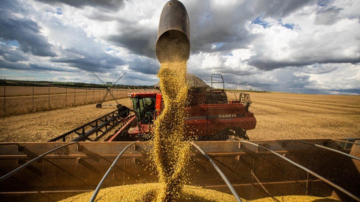 Força do agronegócio brasileiro