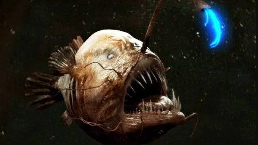 Peixe pescador