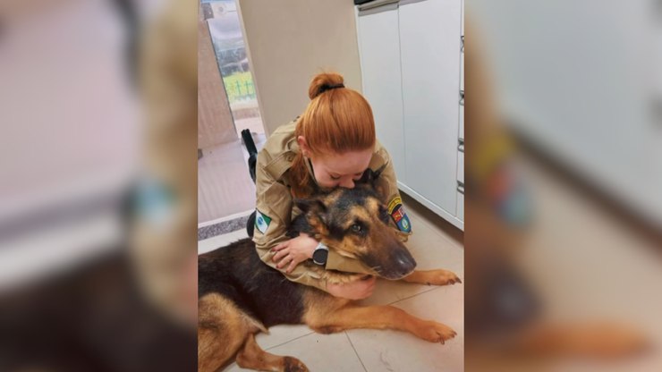 Polícia do Paraná se despede do cão Athos, herói de quatro patas