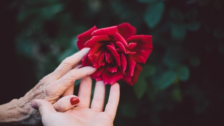 Relação Mãe-Filho na Numerologia: é amor ou ódio?