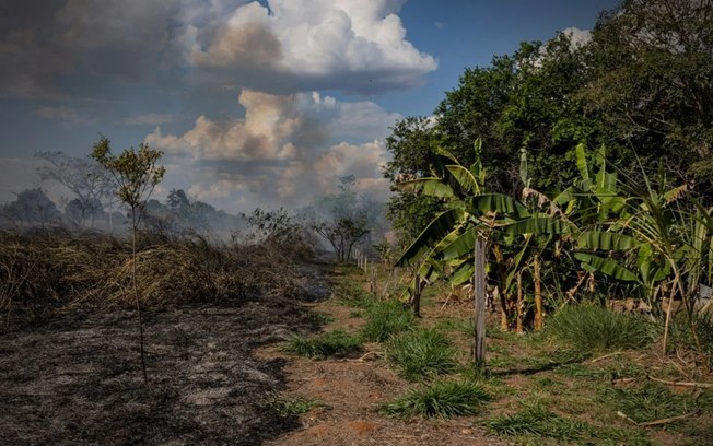 Estudo aponta risco de mudanças irreversíveis na Amazônia até 2040