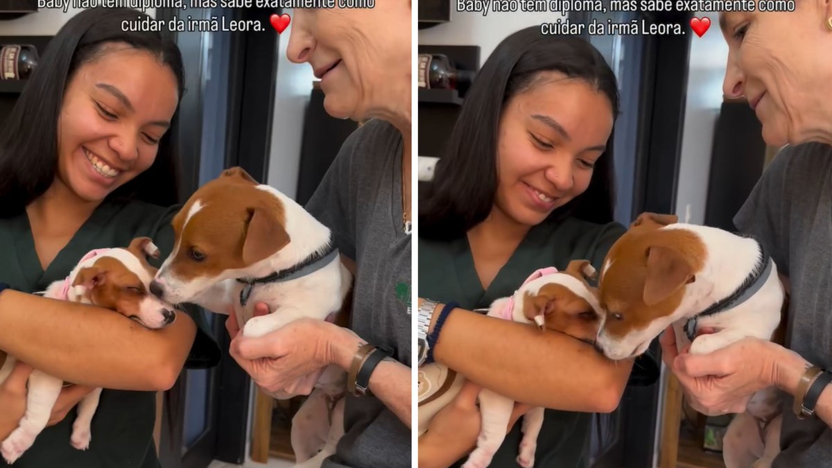 Cachorrinha dá carinho e consola irmã após vacina