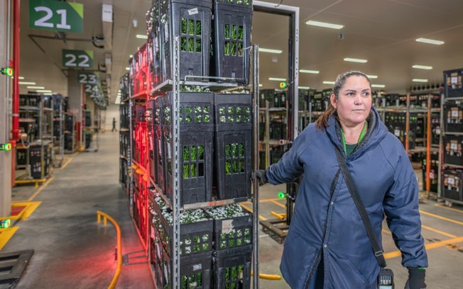 Presença feminina avança e impulsiona a logística