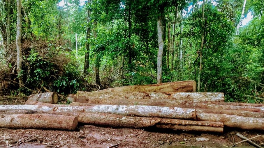 Região da Terra Indígena Sararé