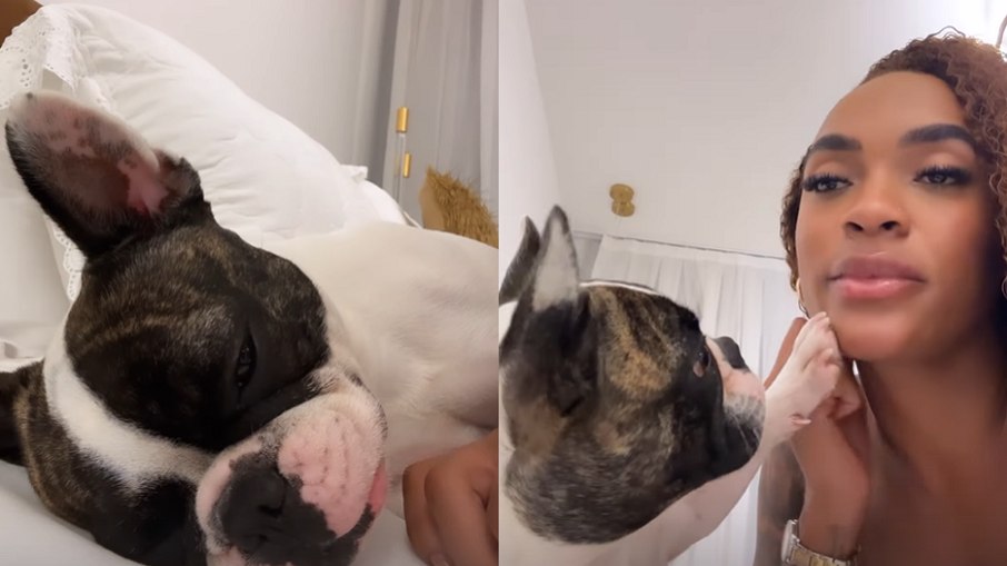 Apresentadora chamou a atenção de Zoe quando a pet subiu na cama de Patrícia com as patas sujas