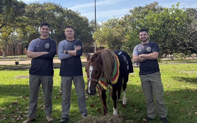 Equipe de veterinários decidiu reviver a história do resgate saindo de carro de Sorocaba (SP) assim como em 2024 Equipe de veterinários decidiu reviver a história do resgate saindo de carro de Sorocaba (SP) assim como em 2024