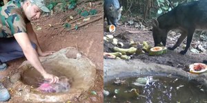 Bebedouro limpo vira ponto de encontro de animais silvestres