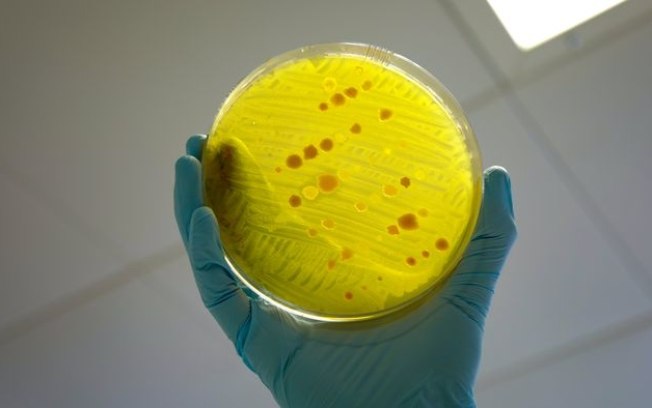 Cresomicina | Novo antibiótico pode combater superbactérias