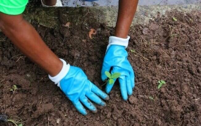 Princípios da iniciativa estão previstos em lei municipal (3.530/2019) do desenvolvimento e da proteção da arborização urbana. Princípios da iniciativa estão previstos em lei municipal (3.530/2019) do desenvolvimento e da proteção da arborização urbana.