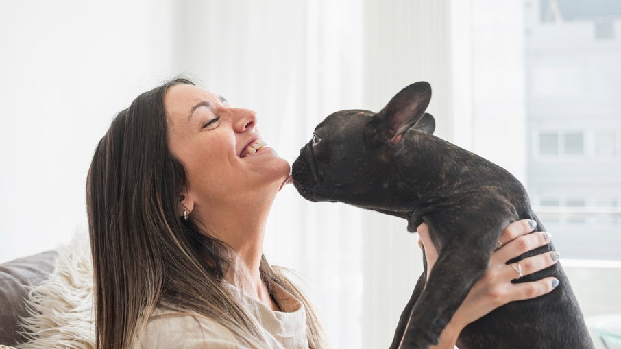 Cães lambem por carinho ou estresse? Entenda o gesto Cães lambem por carinho ou estresse? Entenda o gesto